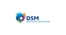 dsm