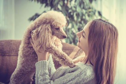 Young girl is resting with a dog on the armchair at home .