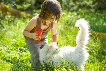 Kid playing with a cat