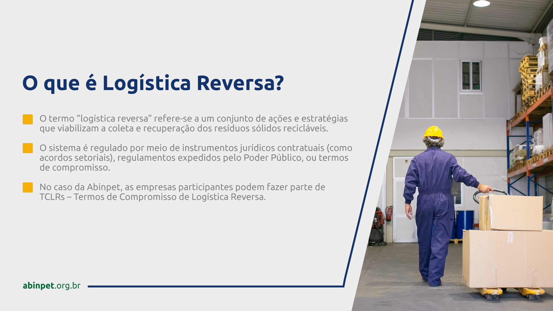 abinpet_lamina_pnrs_draft5_pag6